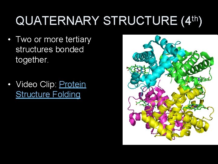 QUATERNARY STRUCTURE (4 th) • Two or more tertiary structures bonded together. • Video