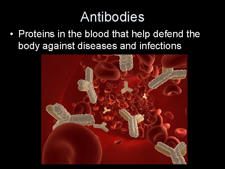 Antibodies • Proteins in the blood that help defend the body against diseases and