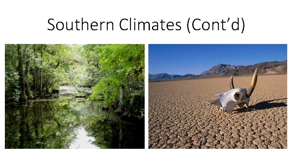 Southern Climates (Cont’d) 