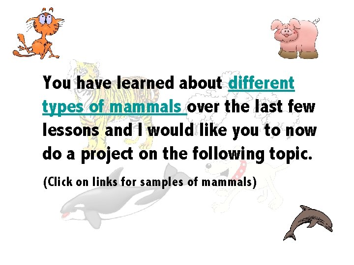 You have learned about different types of mammals over the last few lessons and