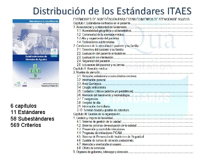 Distribución de los Estándares ITAES 6 capítulos 11 Estándares 58 Subestándares 569 Criterios 