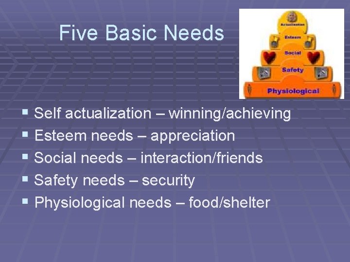 Five Basic Needs § Self actualization – winning/achieving § Esteem needs – appreciation §