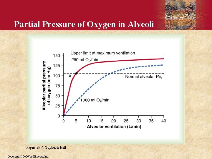 Partial Pressure of Oxygen in Alveoli Figure 39 -4: Guyton & Hall Copyright ©