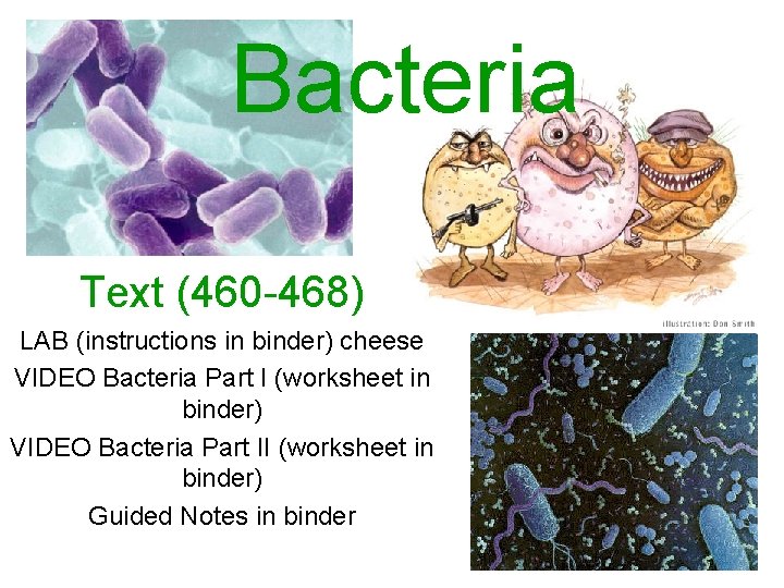 Bacteria Text (460 -468) LAB (instructions in binder) cheese VIDEO Bacteria Part I (worksheet