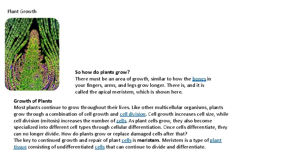 Plant Growth So how do plants grow? There must be an area of growth,