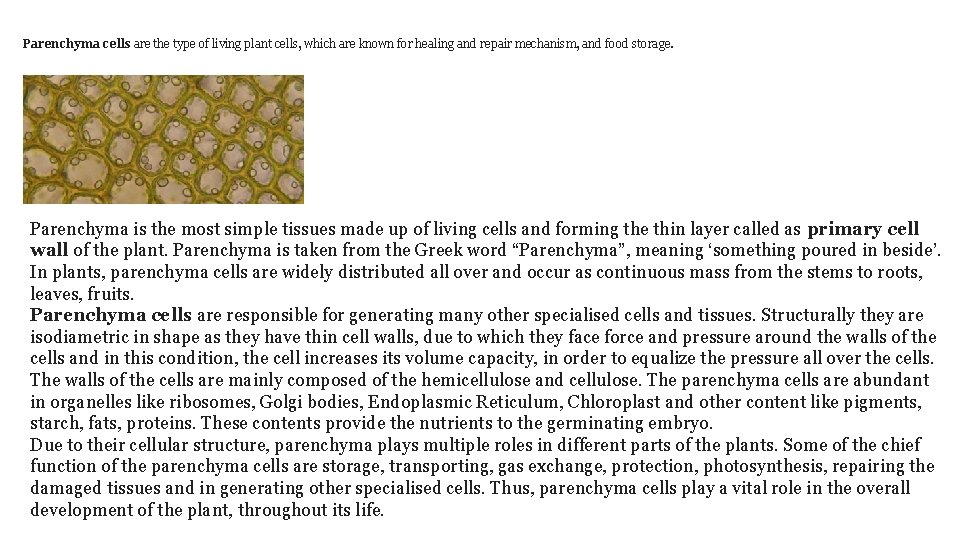 Parenchyma cells are the type of living plant cells, which are known for healing