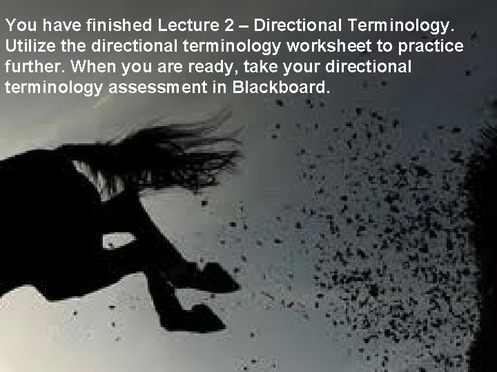 You have finished Lecture 2 – Directional Terminology. Utilize the directional terminology worksheet to