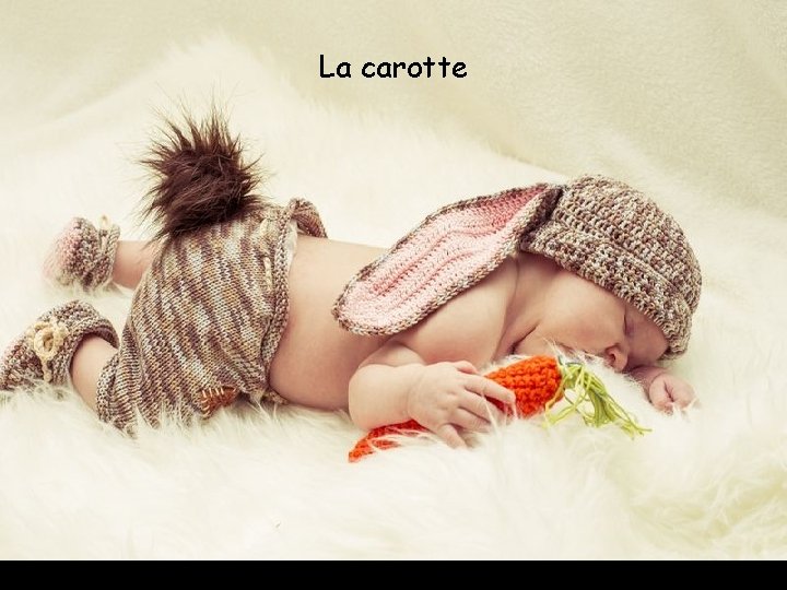 La carotte 