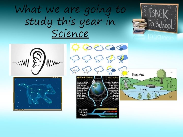What we are going to study this year in Science 