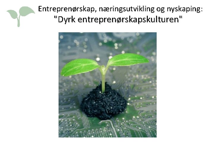 EEntreprenørskap, næringsutvikling og nyskaping: "Dyrk entreprenørskapskulturen" 