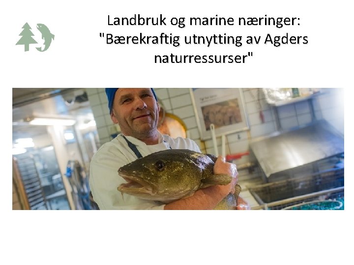 Landbruk og marine næringer: "Bærekraftig utnytting av Agders naturressurser" 