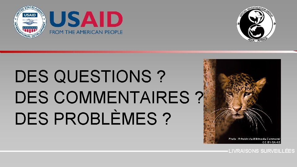 DES QUESTIONS ? DES COMMENTAIRES ? DES PROBLÈMES ? Photo : R 4 robin