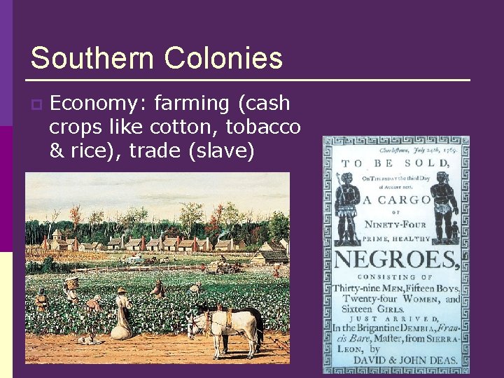 Southern Colonies p Economy: farming (cash crops like cotton, tobacco & rice), trade (slave)