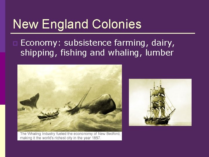 New England Colonies p Economy: subsistence farming, dairy, shipping, fishing and whaling, lumber 
