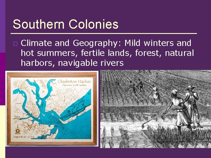 Southern Colonies p Climate and Geography: Mild winters and hot summers, fertile lands, forest,