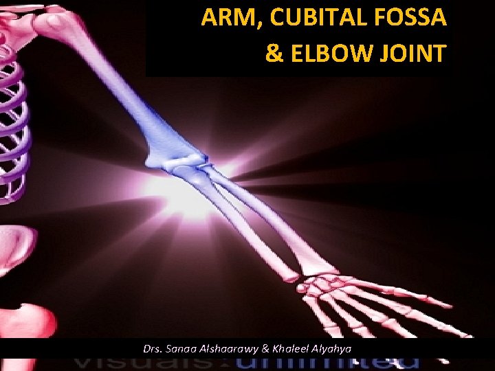 ARM, CUBITAL FOSSA & ELBOW JOINT Drs. Sanaa Alshaarawy & Khaleel Alyahya 