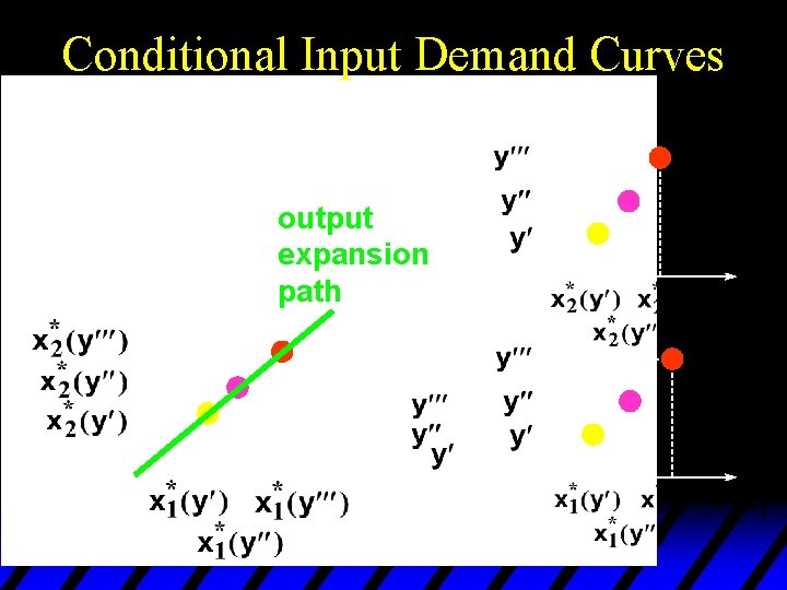 Conditional Input Demand Curves Fixed w 1 and w 2. output expansion path 