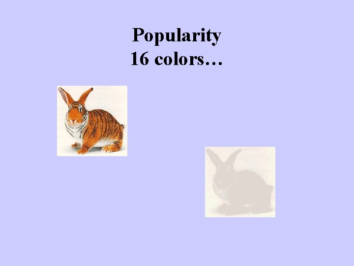 Popularity 16 colors… 