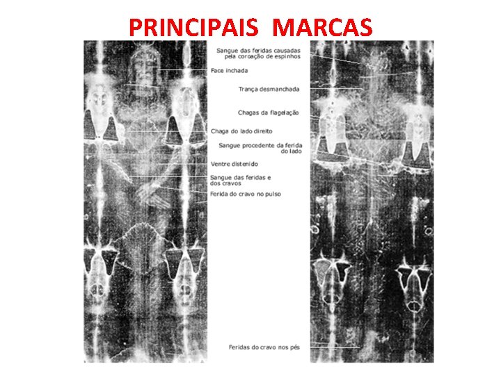 PRINCIPAIS MARCAS 