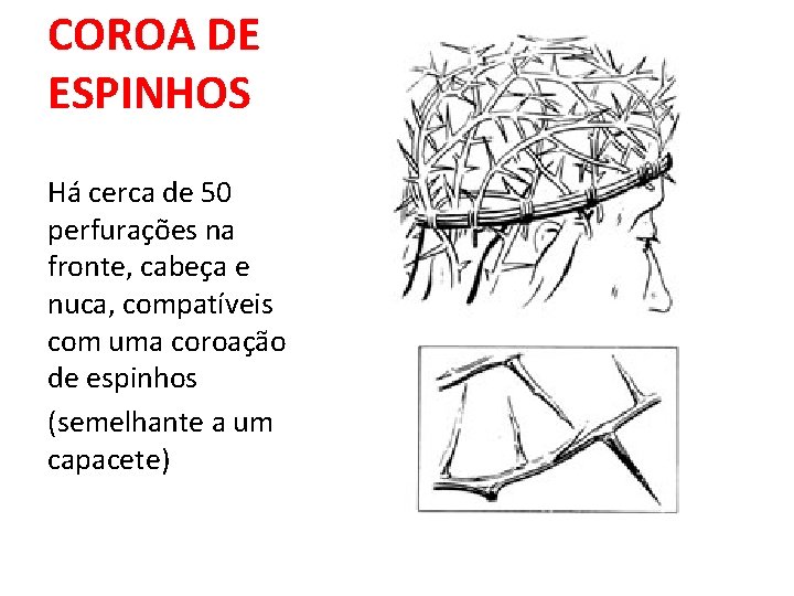 COROA DE ESPINHOS Há cerca de 50 perfurações na fronte, cabeça e nuca, compatíveis