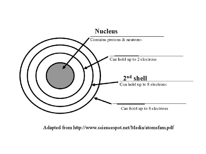 Atomic Models The Bohr Model Adapted from G