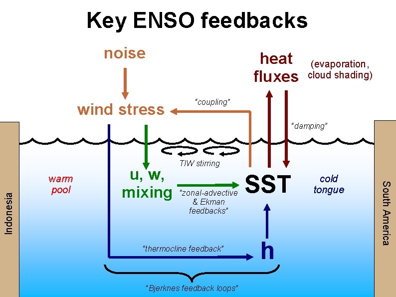 Tropical Pacific Climate and ENSO Understanding Model Biases