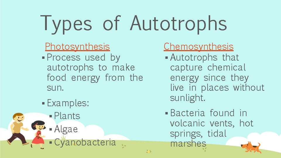 Types of Autotrophs Photosynthesis § Process used by autotrophs to make food energy from