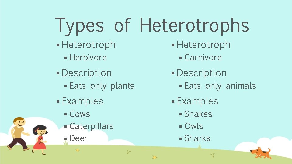 Types of Heterotrophs § Heterotroph § Herbivore § Description § Eats only plants §