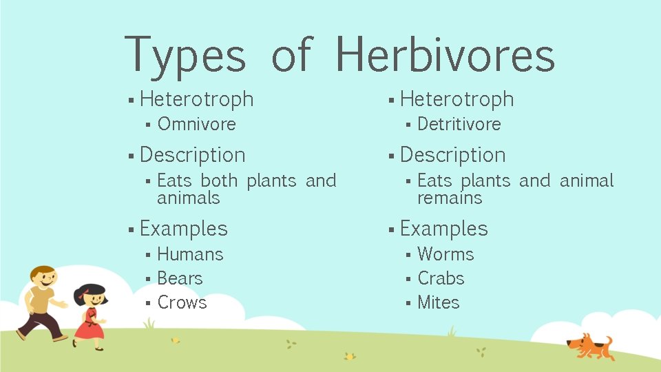 Types of Herbivores § Heterotroph § Omnivore § Description § Eats both plants and