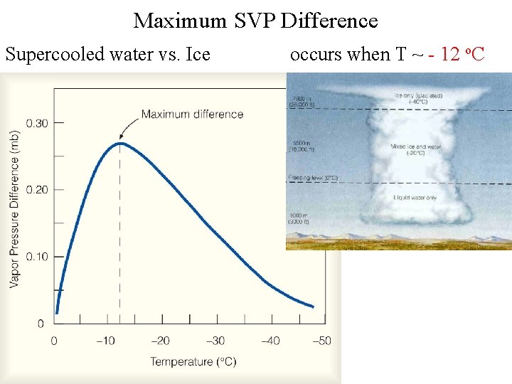 Maximum SVP Difference Supercooled water vs. Ice occurs when T ~ - 12 o.