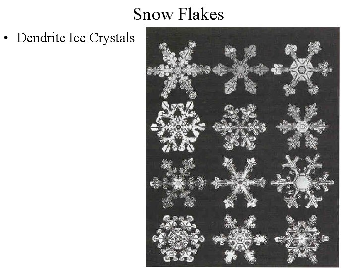 Snow Flakes • Dendrite Ice Crystals 