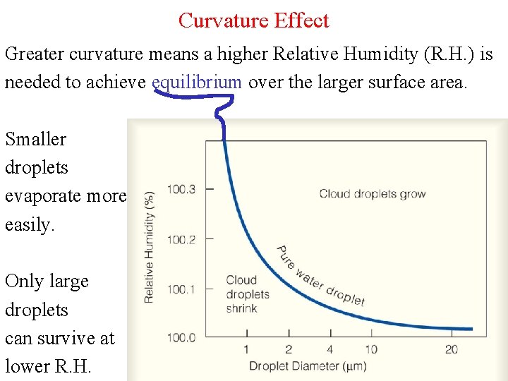 Curvature Effect Greater curvature means a higher Relative Humidity (R. H. ) is needed