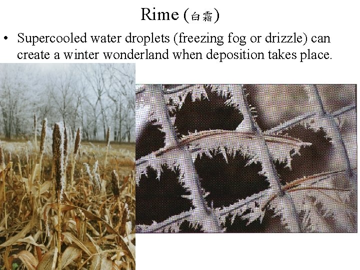 Rime (白霜) • Supercooled water droplets (freezing fog or drizzle) can create a winter