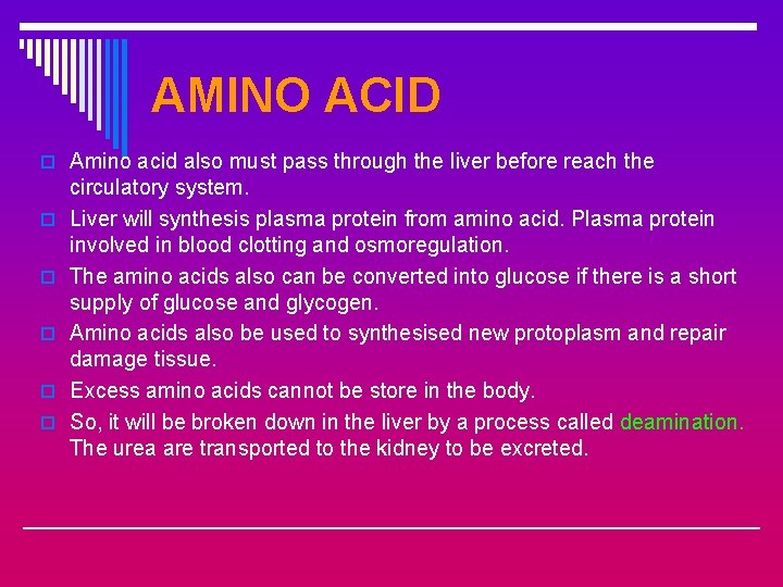 AMINO ACID o Amino acid also must pass through the liver before reach the
