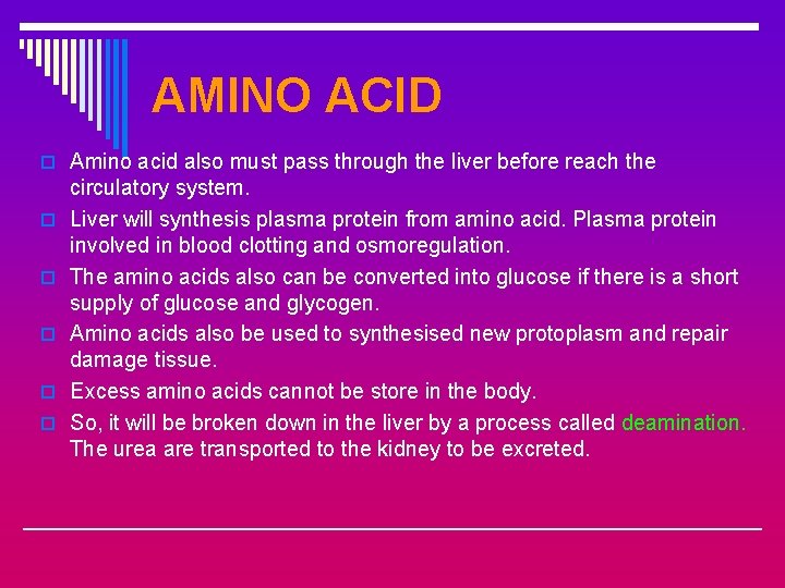 AMINO ACID o Amino acid also must pass through the liver before reach the