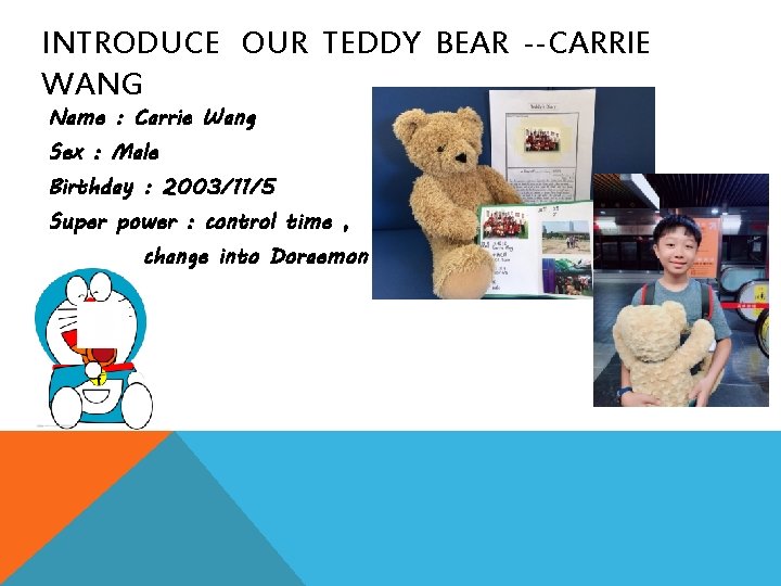 INTRODUCE OUR TEDDY BEAR --CARRIE WANG Name : Carrie Wang Sex : Male Birthday