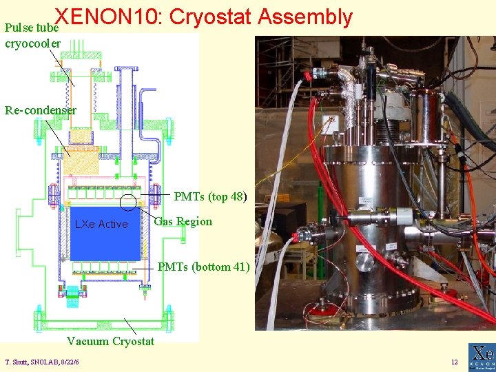 XENON 10: Cryostat Assembly Pulse tube cryocooler Re-condenser PMTs (top 48) LXe Active Gas