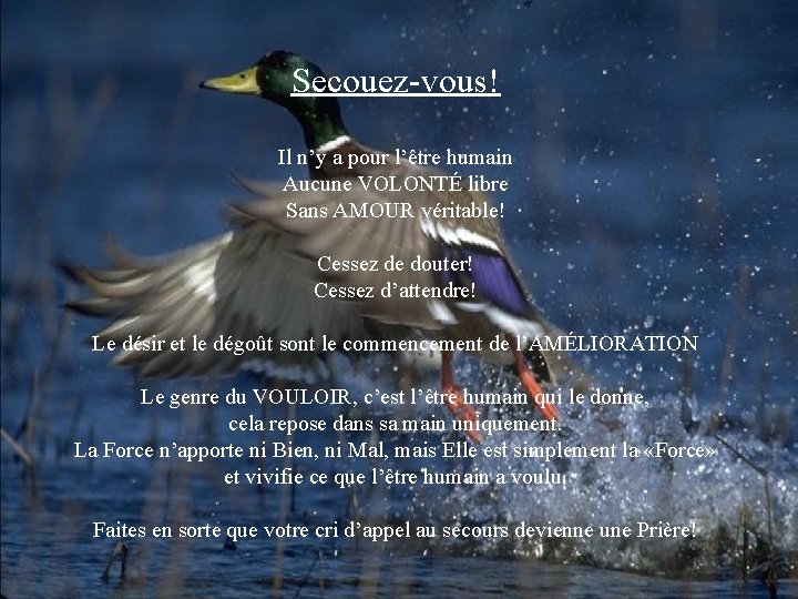 Secouez-vous! Il n’y a pour l’être humain Aucune VOLONTÉ libre Sans AMOUR véritable! Cessez