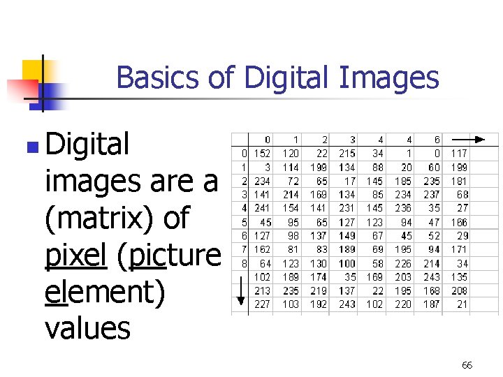 Basics of Digital Images n Digital images are a (matrix) of pixel (picture element)