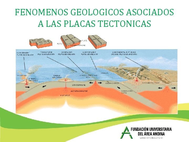 FENOMENOS GEOLOGICOS ASOCIADOS A LAS PLACAS TECTONICAS FENOMENOS GEOLOGICOS ASOCIADOS A LAS PLACAS TECTONICAS