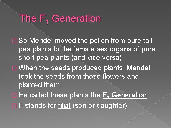 The F 1 Generation � So Mendel moved the pollen from pure tall pea