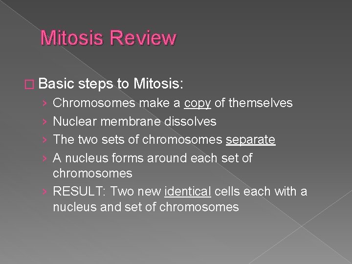 Mitosis Review � Basic › › steps to Mitosis: Chromosomes make a copy of