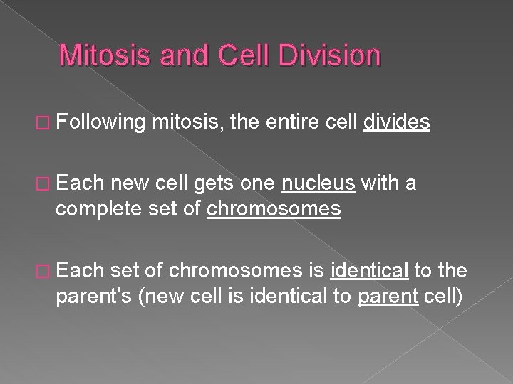 Mitosis and Cell Division � Following mitosis, the entire cell divides � Each new
