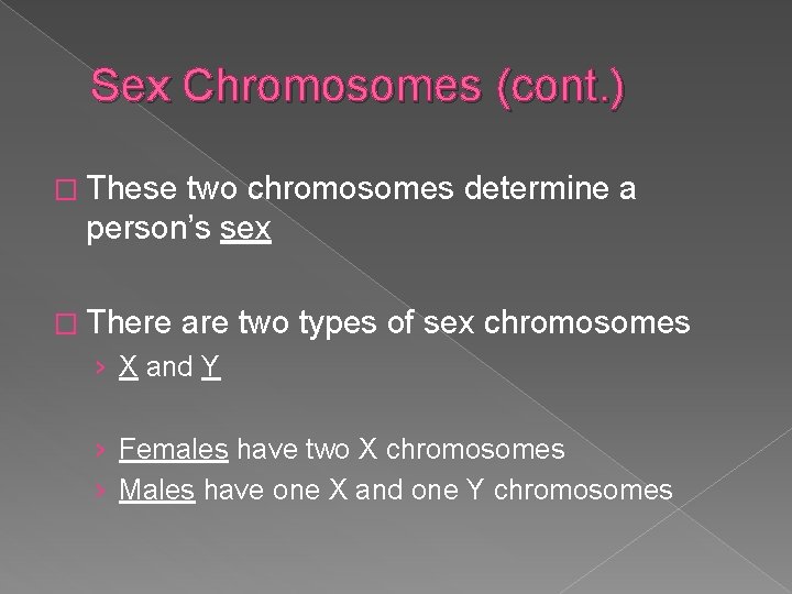Sex Chromosomes (cont. ) � These two chromosomes determine a person’s sex � There