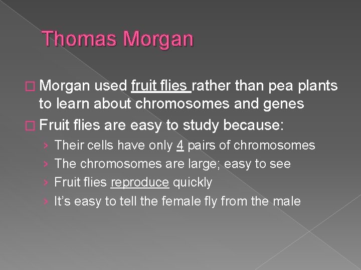 Thomas Morgan � Morgan used fruit flies rather than pea plants to learn about
