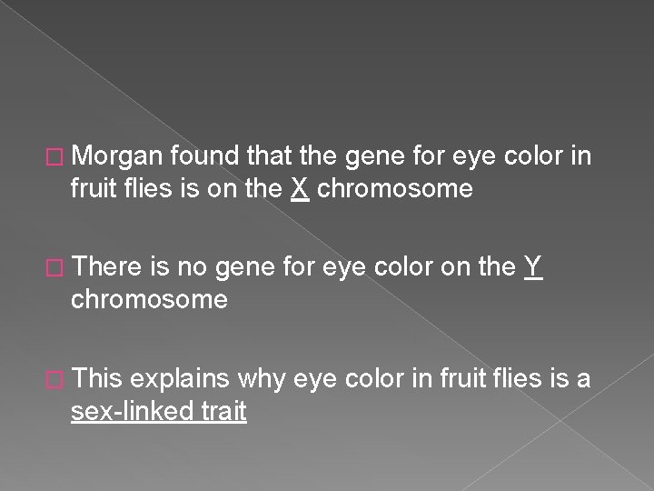 � Morgan found that the gene for eye color in fruit flies is on