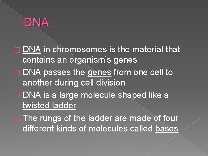 DNA � DNA in chromosomes is the material that contains an organism’s genes �