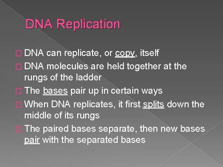 DNA Replication � DNA can replicate, or copy, itself � DNA molecules are held