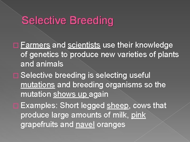 Selective Breeding � Farmers and scientists use their knowledge of genetics to produce new