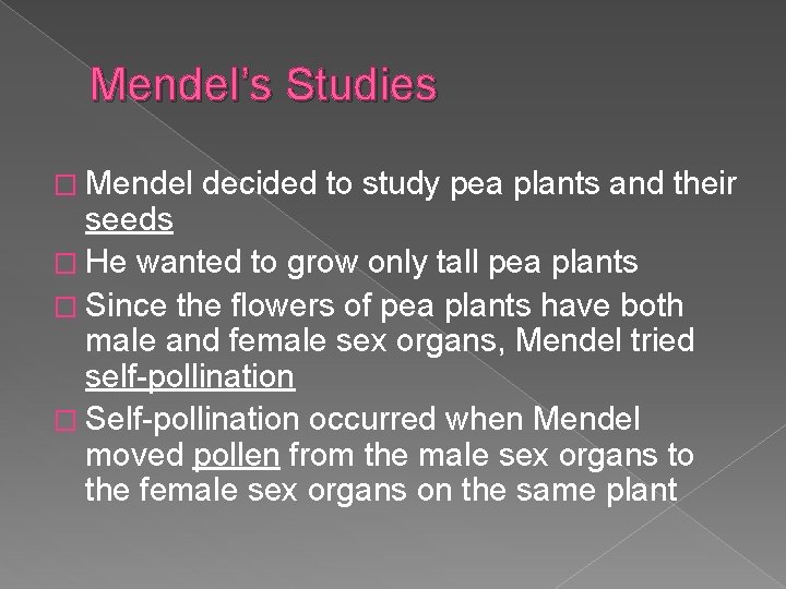 Mendel’s Studies � Mendel decided to study pea plants and their seeds � He